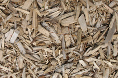 biomass boilers Penyrheol